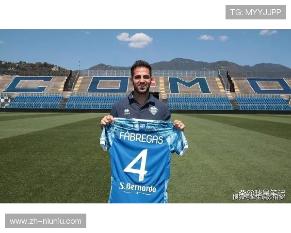 法布雷加斯积极参与足球教育项目,公益贡献广受赞誉 法布雷加斯积极参与足球教育项目,公益贡献广受赞誉