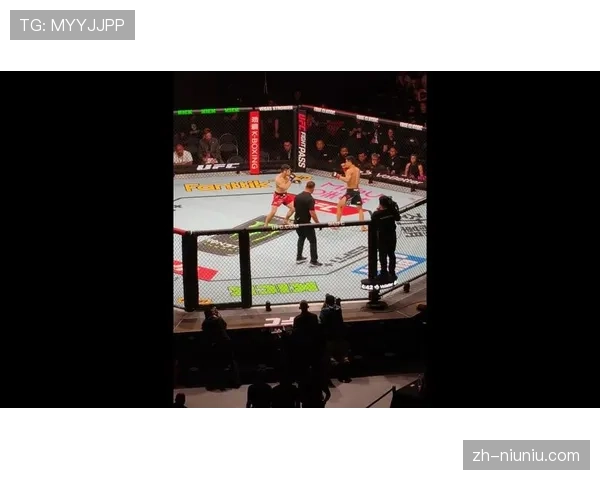 UFC上海站拉动消费，餐饮住宿业受益